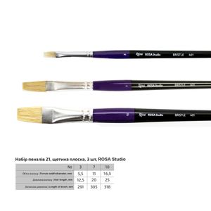 Набор кистей №21 щетина плоская, 3 шт (№3,7,10), д.р., Rosa Studio