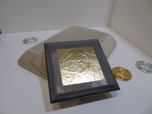 Аппликатор сетка 120х120 мм для взятия и укладки целого листа сусального золота, PG Italy + масло в подарок